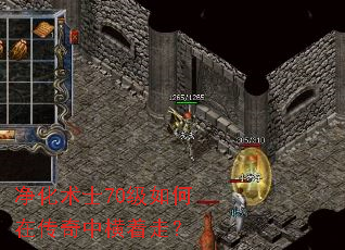 净化术士70级如何在传奇中横着走? 净化术士70级如何在传奇中横着走?