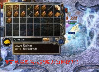 传奇私服刺客技能威力如何提升? 传奇私服刺客技能威力如何提升?