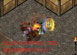 战法组合如何升级?宝石镶嵌有哪些实用技巧? 战法组合如何升级?宝石镶嵌有哪些实用技巧?