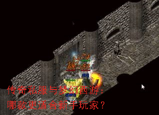 ����˽�����λ����Σ��Ŀ���ʺ�������ң�