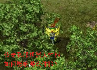 ����˽���������������Ӱ����Ϸ���飿