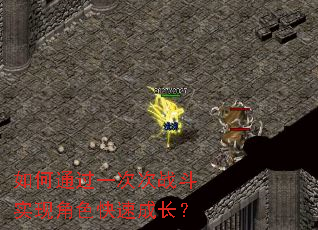 ���ͨ��һ�δ�ս��ʵ�ֽ�ɫ���ٳɳ���