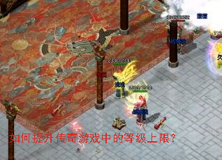 �������������Ϸ�еĵȼ����ޣ�