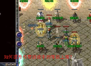 �������������Ϸ�еĵȼ����ޣ�