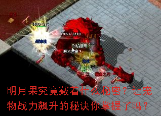 ���¹���������ʲô���ܣ��ó���ս��������ؾ�����������