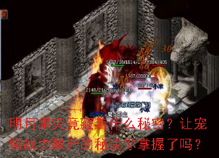 ���¹���������ʲô���ܣ��ó���ս��������ؾ�����������