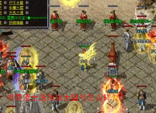 传奇道士选择战士副号怎么样? 传奇道士选择战士副号怎么样?