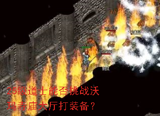 25级道士能否挑战沃玛寺庙大厅打装备? 25级道士能否挑战沃玛寺庙大厅打装备?
