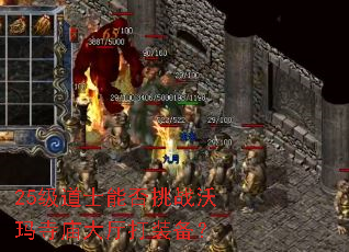 25级道士能否挑战沃玛寺庙大厅打装备? 25级道士能否挑战沃玛寺庙大厅打装备?