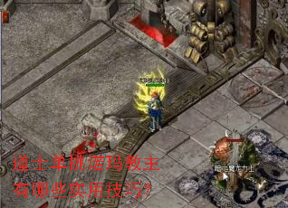 道士单挑诺玛教主有哪些实用技巧? 道士单挑诺玛教主有哪些实用技巧?