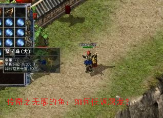 传奇之无聊的鱼:如何低调屠龙? 传奇之无聊的鱼:如何低调屠龙?