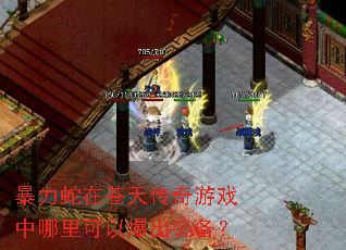 暴力蛇在苍天传奇游戏中哪里可以爆出装备? 暴力蛇在苍天传奇游戏中哪里可以爆出装备?