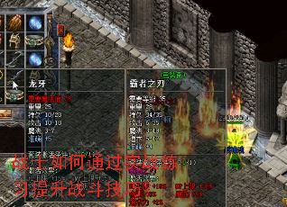 战士如何通过实战练习提升战斗技巧? 战士如何通过实战练习提升战斗技巧?