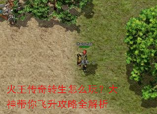 ��������ת����ô�棿��������������ȫ����