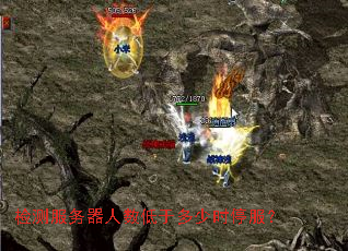 ���������������ڶ���ʱͣ����