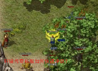 ��ԯ����˽����ο��ٳ弶��