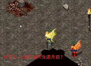 ����1.76��ʦ��ο���������