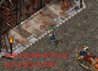 ������ô�����Ϸ�е��Զ�����ӳ����ܣ�