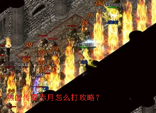 ��Ѫ���������ô���ԣ�