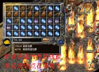 新开合击传奇的技能书鉴定地点在哪里? 新开合击传奇的技能书鉴定地点在哪里?