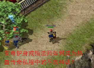 ��������ָ��ʦ��γ�Ϊ��Ѫ����˽���еĲ����񻰣�