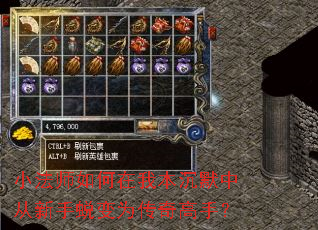 小法师如何在我本沉默中从新手蜕变为传奇高手? 小法师如何在我本沉默中从新手蜕变为传奇高手?