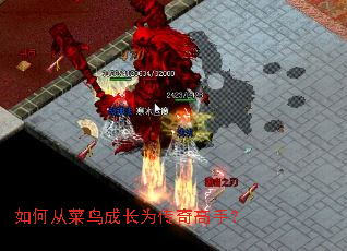 如何从菜鸟成长为传奇高手? 如何从菜鸟成长为传奇高手?