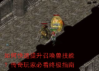 ��ο��������ٻ��޼��ܣ�������ұؿ��ռ�ָ��