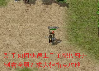 新手如何快速上手单职传奇并制霸全服?求大神指点攻略 新手如何快速上手单职传奇并制霸全服?求大神指点攻略