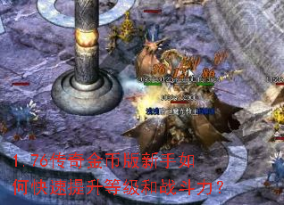 1.76�����Ұ�������ο��������ȼ���ս������