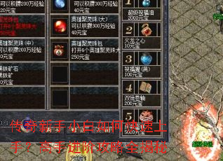 ��������С����ο������֣����ֽ��׹���ȫ����