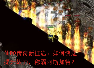 仙RO传奇新征途:如何快速提升战力,称霸阿斯加特? 仙RO传奇新征途:如何快速提升战力,称霸阿斯加特?