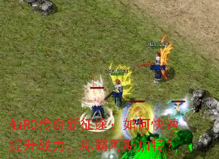 仙RO传奇新征途:如何快速提升战力,称霸阿斯加特? 仙RO传奇新征途:如何快速提升战力,称霸阿斯加特?