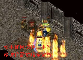 ������ο������֣�ɳ�ǳưԹ���ȫ����