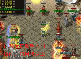 1.76������������ָ�ϣ���ο������֣�