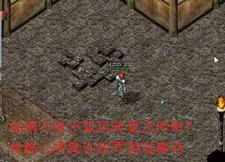 ��β��β����ת���Ŵ��棿�����ĵ�����̽Ѱ��Ϸ����