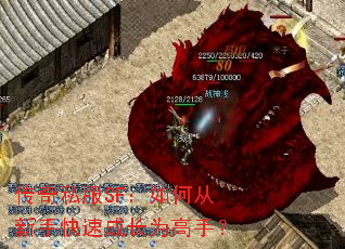 传奇私服SF:如何从新手快速成长为高手? 传奇私服SF:如何从新手快速成长为高手?