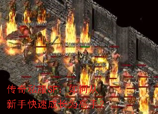 传奇私服SF:如何从新手快速成长为高手? 传奇私服SF:如何从新手快速成长为高手?