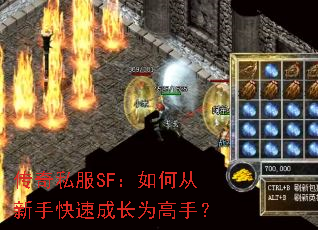 传奇私服SF:如何从新手快速成长为高手? 传奇私服SF:如何从新手快速成长为高手?
