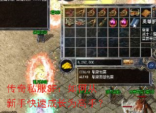 传奇私服SF:如何从新手快速成长为高手? 传奇私服SF:如何从新手快速成长为高手?