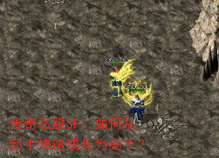 传奇私服SF:如何从新手快速成长为高手? 传奇私服SF:如何从新手快速成长为高手?