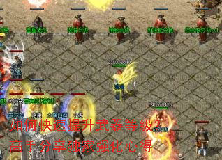 如何快速提升武器等级?高手分享独家强化心得 如何快速提升武器等级?高手分享独家强化心得