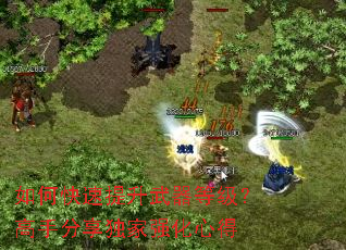 如何快速提升武器等级?高手分享独家强化心得 如何快速提升武器等级?高手分享独家强化心得