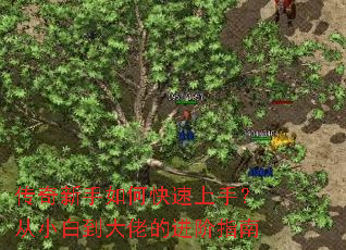 ����������ο������֣���С�׵����еĽ���ָ��