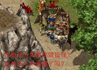 ����սʿ��θ�Ч���֣���Щ��������������