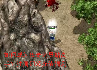 如何成为传奇会员站高手?注册即领充值福利 如何成为传奇会员站高手?注册即领充值福利