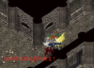 ��γɹ���ս���������