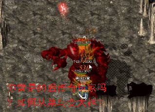 ������80�����������δӲ�������