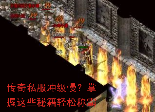 ����˽���弶����������Щ�ؼ����ɳư�