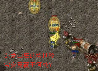 卧龙山庄的稀世珍宝究竟藏于何处? 卧龙山庄的稀世珍宝究竟藏于何处?